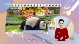 色五婷婷